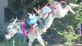 Donkey Dash brings fun to Creede