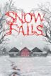 Snow Falls (film)