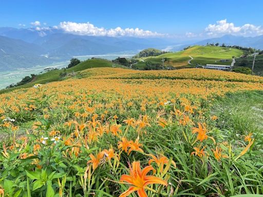 藍天•花海•耶穌光—人間天堂六十石山 | 蕃新聞