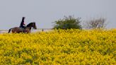 The areas in the UK where pollen is highest this weekend