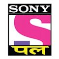 Sony Pal