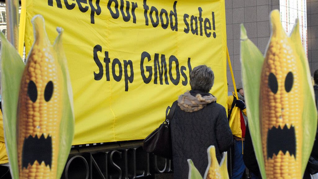 Eleventh-hour push for deal on ‘radical’ GMO deregulation