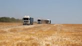 Ucrania y Eslovaquia llegan a un acuerdo de exportación de grano que permite levantar el polémico veto