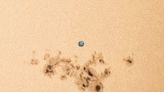 Still have eclipse glasses? See the sunspot 15 times wider than Earth