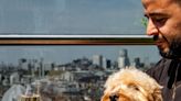 OPINION - Make London a paradise for our pets: every business should welcome dogs
