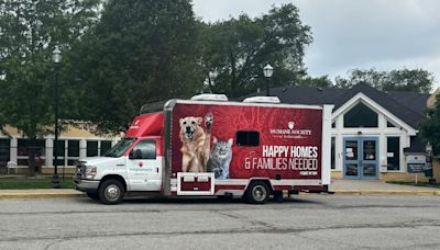 Library’s summer reading program partners with pets of IndyHumane