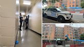 Dominicano fallece tras presuntamente ser apuñalado por su expareja en el Bronx