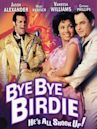 Bye Bye Birdie (1995 film)