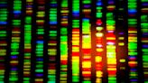 Analysis | An NIH genetics study targets a long-standing challenge: Diversity