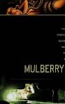 Mulberry Street (film)