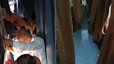 "Misleading": Railways After X User Shares Video Of Overcrowded Train