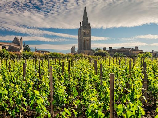 The most beautiful vineyards in the world are just a short hop away