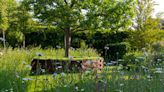 Earth-Friendly Gardening Could Be the Boost Your Yard Needs (10 photos)