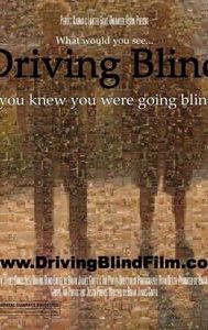 Driving Blind