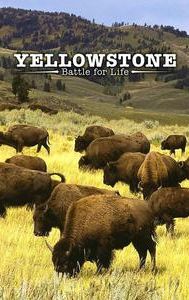 Yellowstone (British TV series)