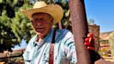 10 years after armed standoff with federal agents, Bundy cattle are still grazing disputed rangeland