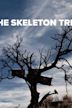 Skeleton Tree | Drama