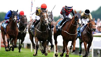 York review and free video replays from John Smith's Cup day