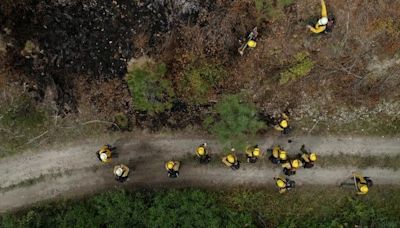 Washington state pioneers program to turn inmates into wildland firefighters