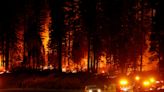 California wildfire Borel Fire in Kern County has burned through thousands of acres