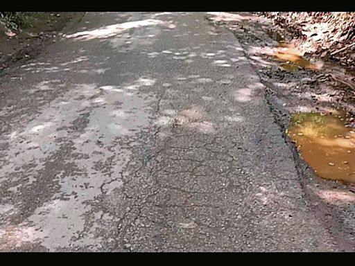 Potholed Dehra-Jawali road continues to snuff out lives