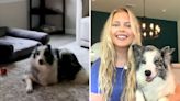 How woman eliminated "storm anxiety" in her dog with one simple trick