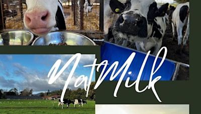 NotMilk vs. NatMilk: el conflicto marcario de NotCo con un agricultor lechero de Renaico - La Tercera