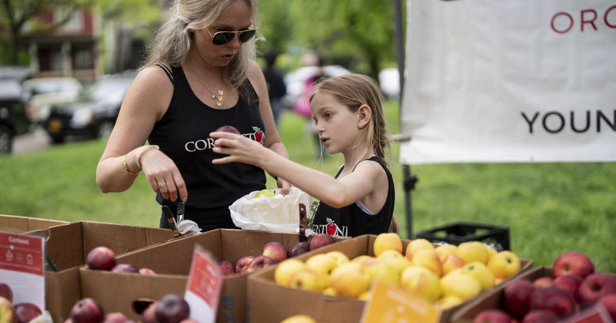 20 Buffalo-area farmers markets for fresh produce, seasonal goods