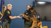 Multnomah County Sheriff’s Office swears in its first ‘comfort dog’