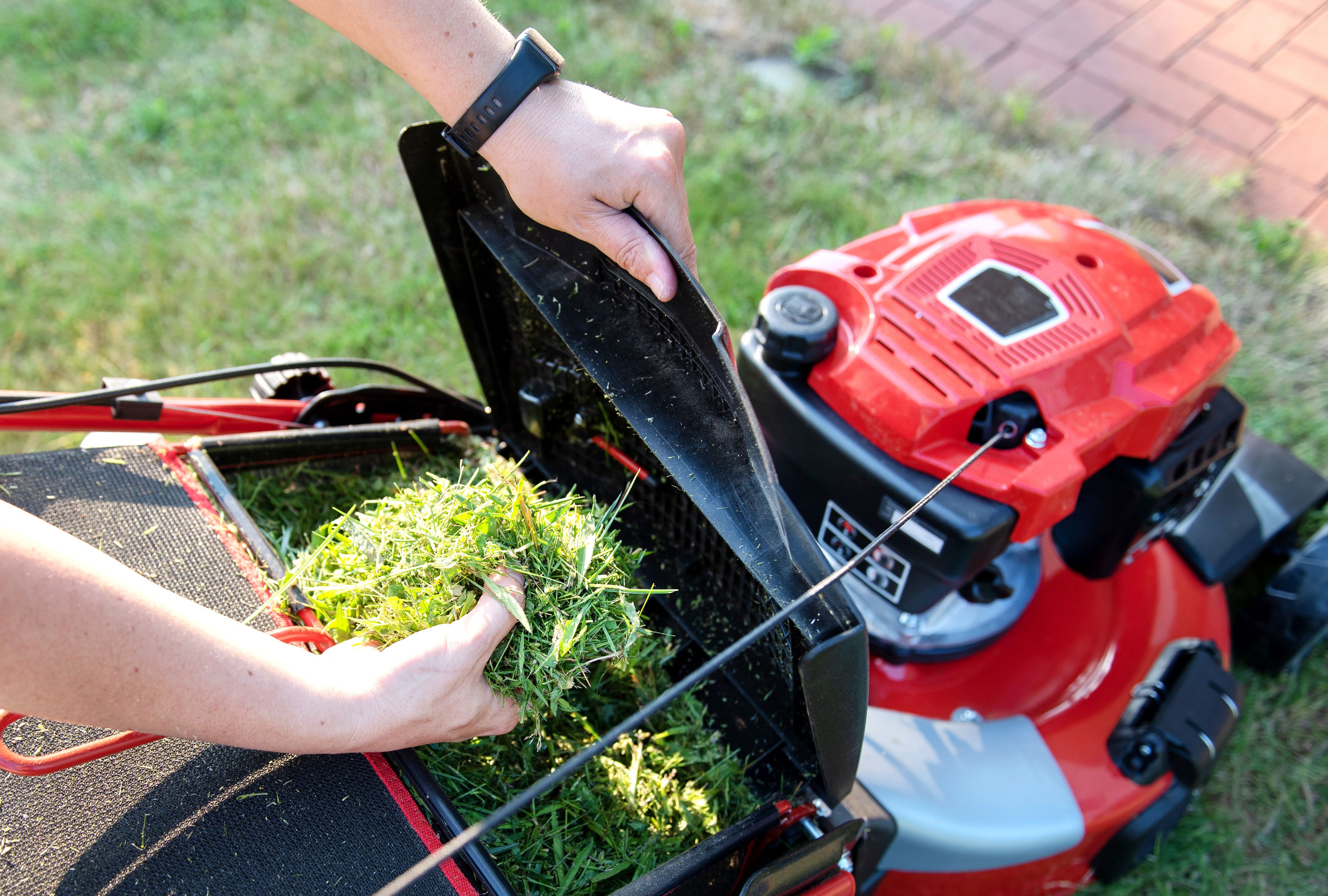 Should You Mulch or Bag Grass When You Mow? Know the Pros and Cons