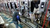 Third U.S. dairy worker comes down with avian flu; officials monitoring farm