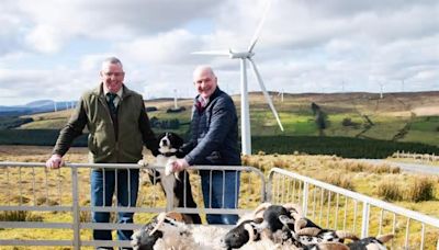 SSE Renewables to sponsor of Irish National Sheep Dog Trials
