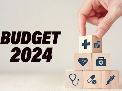 Centre mulls options for tax windfall in Union Budget 2024-25