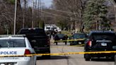 Deadly stabbing spree in Illinois leaves families, neighbors shattered