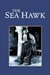 The Sea Hawk (1924 film)