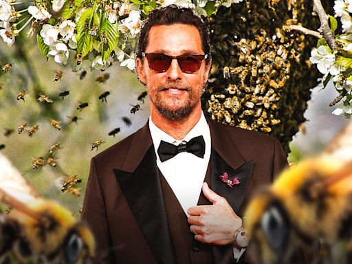 Matthew McConaughey shares grotesque bee sting image
