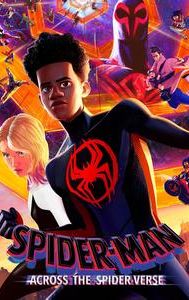 Spider-Man: Across the Spider-Verse