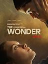 The Wonder