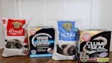 We Tested Eco-Friendly Cat Litters and Found The 6 Best