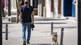 Un hombre agrede otro a puñetazos por negarse a que le diera un hueso a su perro en Lavapiés