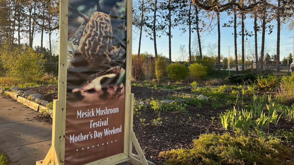 Mesick welcomes mushroom lovers to the 65th Annual Mushroom Festival