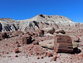 Petrified Forest National Park