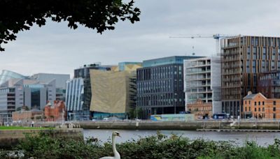 Irish central bank told to improve vetting regime for finance executives