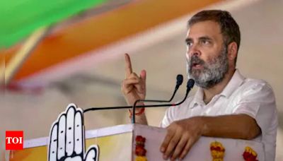 4. Why VCs, scholars are protesting against Rahul Gandhi - Times of India