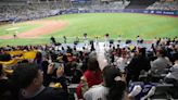 MLB》大聯盟海外賽意外行銷韓國棒球文化 日本球迷好吃驚：居然用吸管喝啤酒？