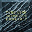 Unknown Death 2002