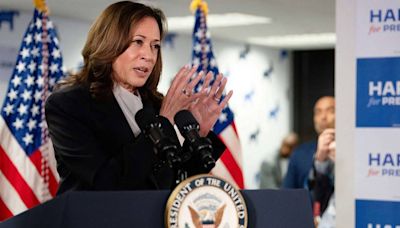 Why Harris Can Beat Trump | by Charles A. Kupchan - Project Syndicate