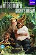 A Midsummer Night's Dream (2016 film)