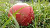 Higham and Claridge star in The Blaze's five-wicket win