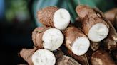 Health Benefits of Cassava